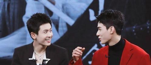 娱乐圈双男主,双男主携手演绎娱乐圈的璀璨传奇